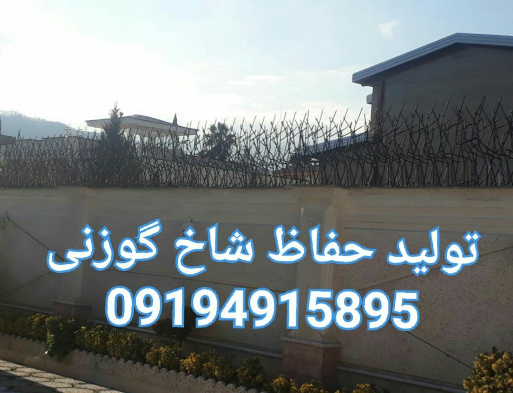 پیکر تراشی در یک ساعت