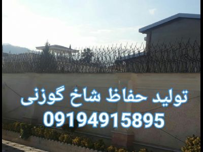 پیکر تراشی در یک ساعت