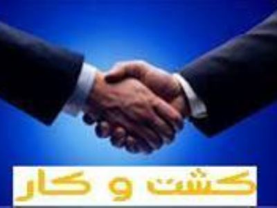 استخدام کارشناس بازاریابی و فروش