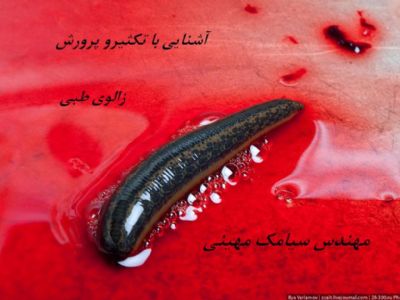 Hakhdآشنایی با تکثیرو پرورش زالوی طبی( Hirudo Medicinalis)