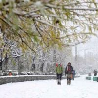 بارش باران در اغلب مناطق کشور