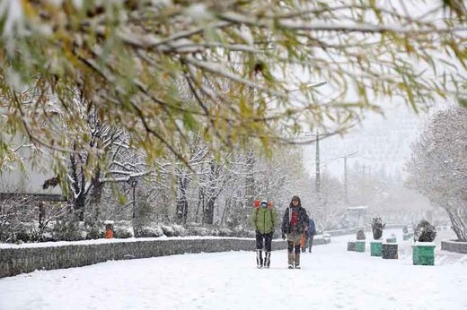 بارش باران در اغلب مناطق کشور